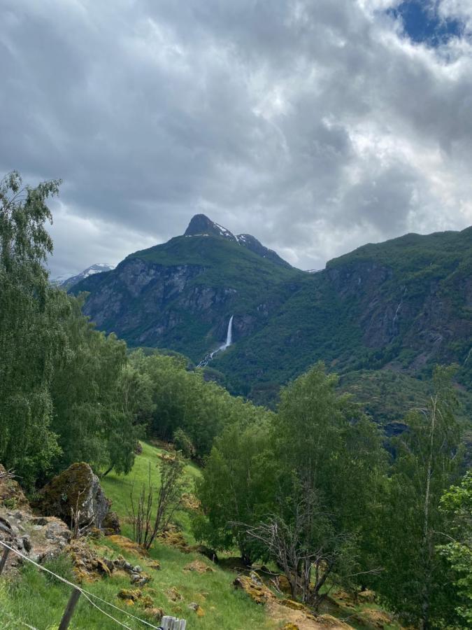 Indreli Feriehus Флам Экстерьер фото